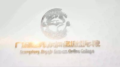 丝苗香稻收获后加工环节及要求