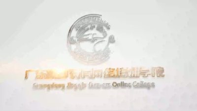 丝苗米香稻加工专场总结