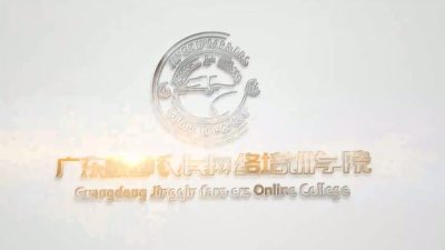 草莓起垄和水肥管理