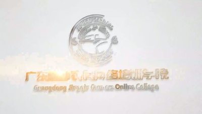 河源农村山里的野果，摇身一变成了网红水果