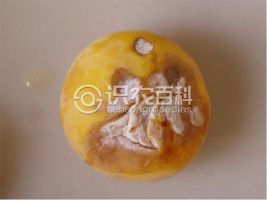 柑橘黄叶症状示例0