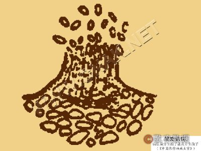 桃炭疽病