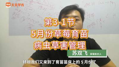 第3-1节-5月份草莓育苗的病虫草害管理
