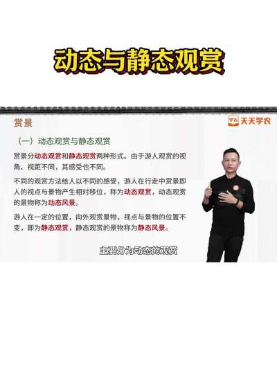 动态观赏与静态观赏