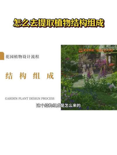 怎么去提取植物结构组成