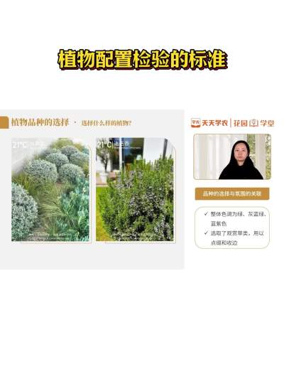 植物配置检验的标准