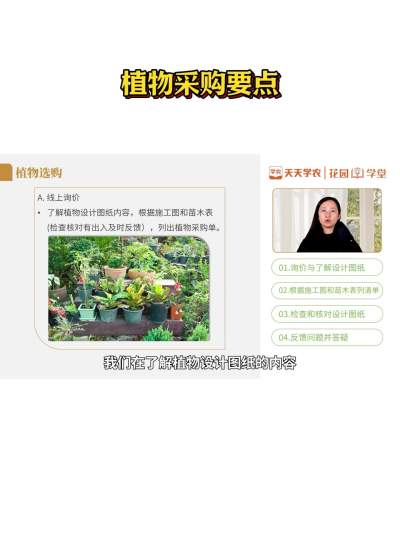 植物采购要点