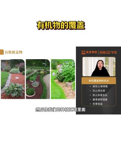 有机物的覆盖