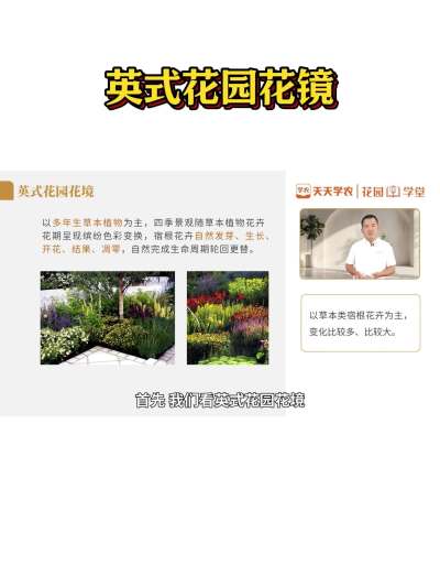英氏花园花镜