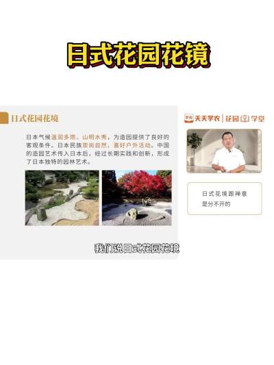 日式花园花镜