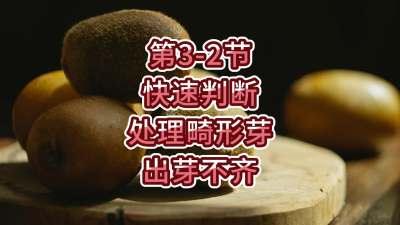 第3-2节-快速判断处理畸形芽，出芽不齐