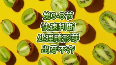 第3-3节-快速判断处理畸形芽，出芽不齐