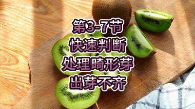 第3-7节-快速判断处理畸形芽，出芽不齐