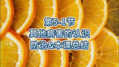 第5-1节-其他病害的认识、防治&总结