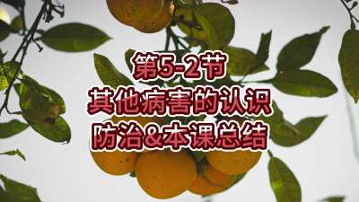 第5-2节-其他病害的认识、防治&总结