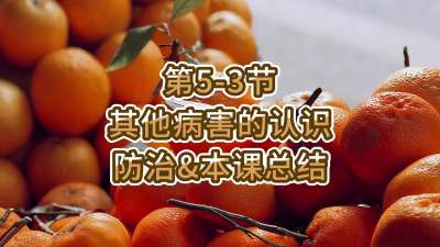 第5-3节-其他病害的认识、防治&总结