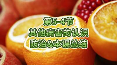 第5-4节-其他病害的认识、防治&总结