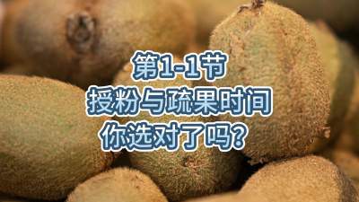 第1-1节-授粉与疏果时间你选对了吗？