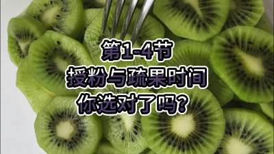 第1-4节-授粉与疏果时间你选对了吗？