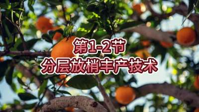 第1-2节-分层放梢丰产技术