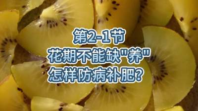 第2-1节-花期不能缺养，怎样防病补肥