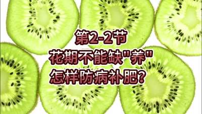 第2-2节-花期不能缺养，怎样防病补肥