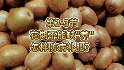 第2-3节-花期不能缺养，怎样防病补肥