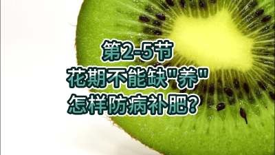 第2-5节-花期不能缺养，怎样防病补肥