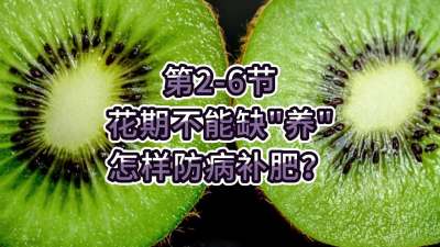 第2-6节-花期不能缺养，怎样防病补肥