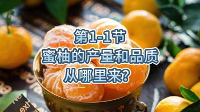 第1-1节-蜜柚的产量和品质从哪里来？