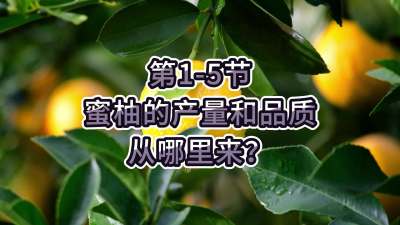 第1-5节-蜜柚的产量和品质从哪里来？