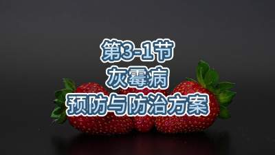 第3-1节-灰霉病预防与防治方案