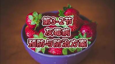 第3-2节-灰霉病预防与防治方案