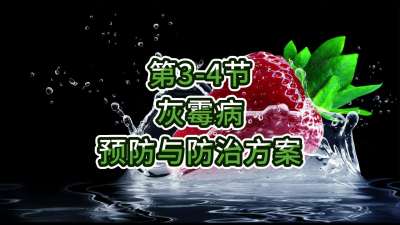 第3-4节-灰霉病预防与防治方案