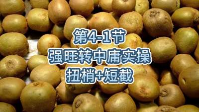 第4-1节-强旺转中庸实操-扭梢+短截