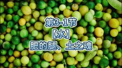 第3-1节-【水】肥的腿、土之魂