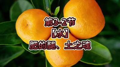 第3-2节-【水】肥的腿、土之魂