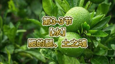 第3-3节-【水】肥的腿、土之魂
