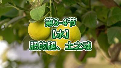 第3-4节-【水】肥的腿、土之魂