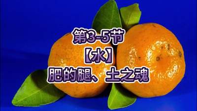 第3-5节-【水】肥的腿、土之魂