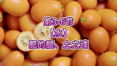第3-6节-【水】肥的腿、土之魂