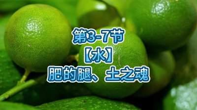 第3-7节-【水】肥的腿、土之魂
