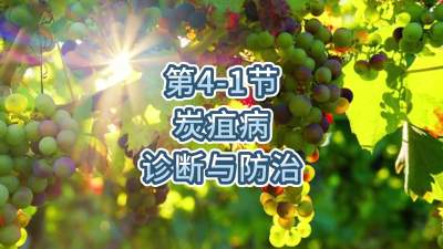 第4-1节-炭疽病的诊断与防治