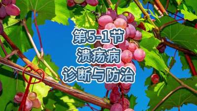 第5-1节-溃疡病的诊断与防治