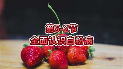 第5-2节-全面认识白粉病