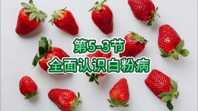 第5-3节-全面认识白粉病