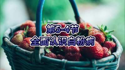 第5-4节-全面认识白粉病