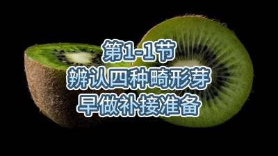 第1-1节-辨认四种畸形芽，早做补接准备