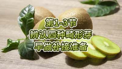 第1-3节-辨认四种畸形芽，早做补接准备