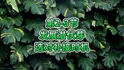 第2-3节-发展潜伏芽，选对补接时机